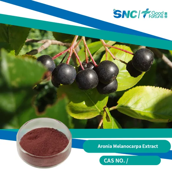 Integratore per la salute: polvere di frutto di Aronia Melanocarpa ricca di antiossidanti e nutrienti