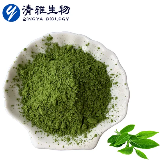 Polvere di Matcha Biologica Fai da Te Bevanda in Polvere di Matcha Matcha Antiossidante