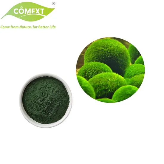 Comext Bulk Supply Antiossidante Miglioramento dell'immunità Spirulina in polvere Clorella in polvere